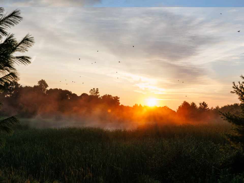 Sunrise at Pike Ridge Park over trees